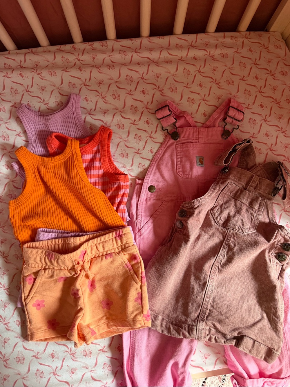 Carhartt + Cat & Jack Toddler Girl Bundle (12M–18M)